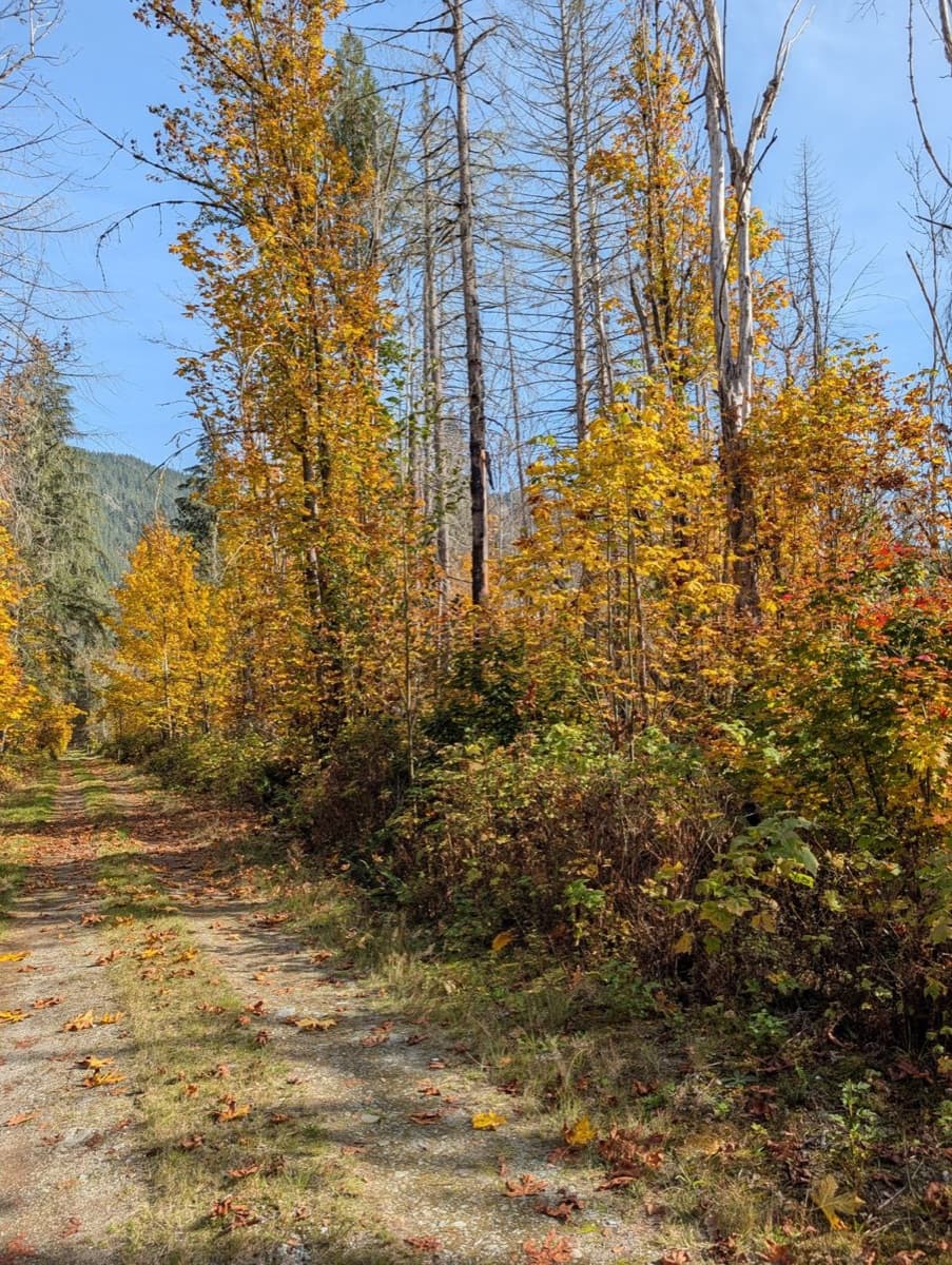 Autumn trail at Jade Grove